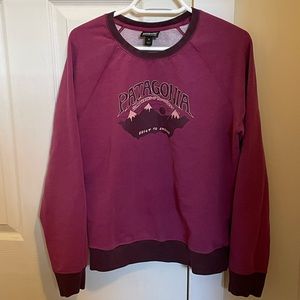 Patagonia sweater